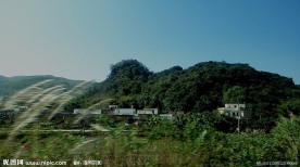 山村茅花