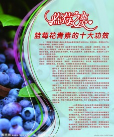 蓝莓海报