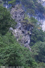 青山绿树