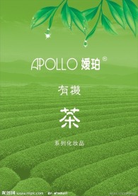 茶画册封面