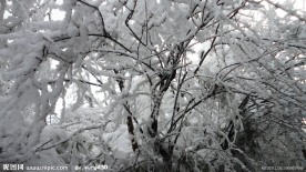 峨眉乱雪