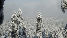 峨眉雪