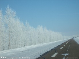 公路雪