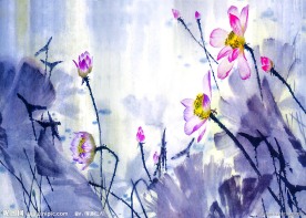 莲花水墨画（非高清）