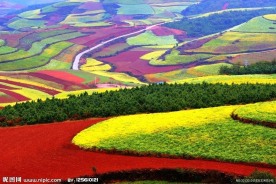 静谧的田园