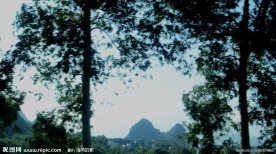 树林里 山峰