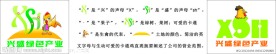商标设计