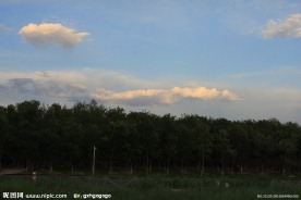 森林公园傍晚风景
