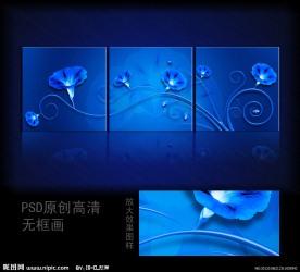 牵牛花无框画