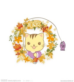 秋天丰收的小猫