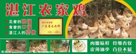 湛江农家鸡招牌