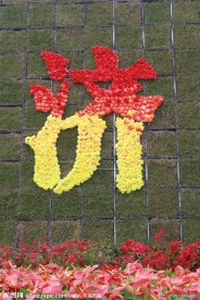 鲜花 庆祝 周年庆