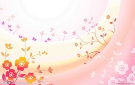 花纹移门