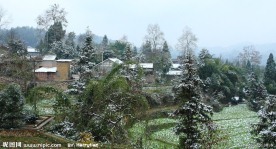 乡村雪景