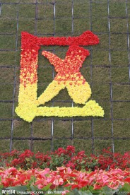 庆祝 鲜花 周年庆