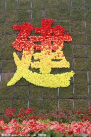 鲜花 周年庆