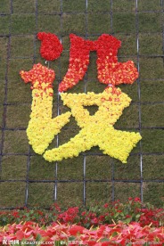 鲜花 周年庆 庆祝