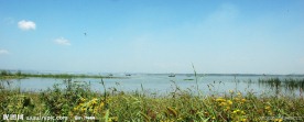 生态湿地