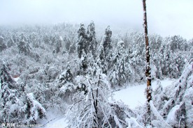 雪景 峨眉山