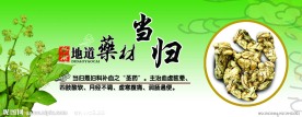 当归