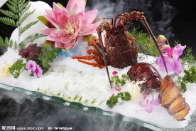 澳洲龙虾刺身