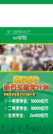 国际学院移民新西兰留学易拉宝
