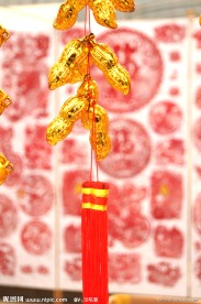 金花生（高清）