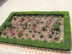 花圃