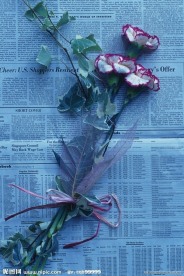 高清鲜花摄影