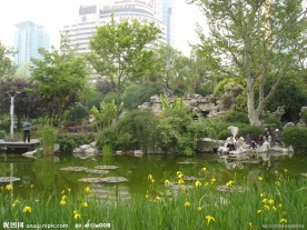 上海静安寺公园照片