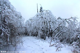 雪景 峨眉山