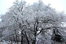 雪景 峨眉山