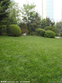 上海静安寺公园照片