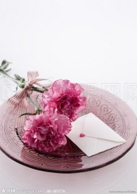 康乃馨
