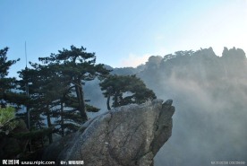 黄山 奇松 奇石