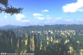 松树山峰