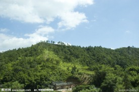 路边风景