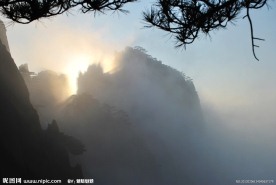 黄山 奇松 奇石