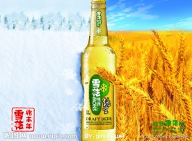 雪花啤酒2012元旦宣传