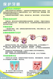保护牙龈