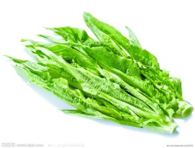 油麦菜