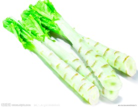 莴笋