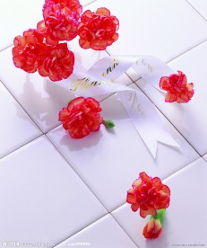高清鲜花摄影