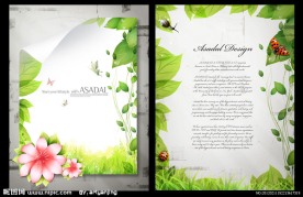 精美绿叶背景素材