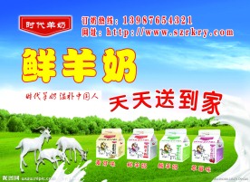 鲜羊奶宣传单