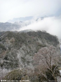 雾凇