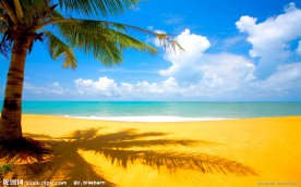 海滩美景