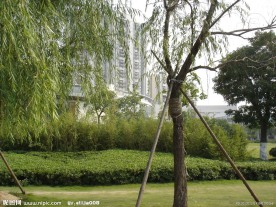 合肥元一柏庄住宅小区