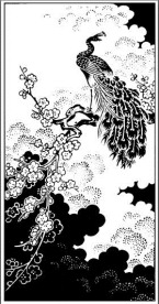 黑白装饰画孔雀
