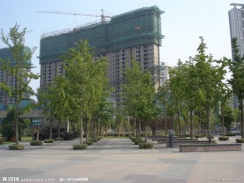 合肥元一柏庄住宅小区